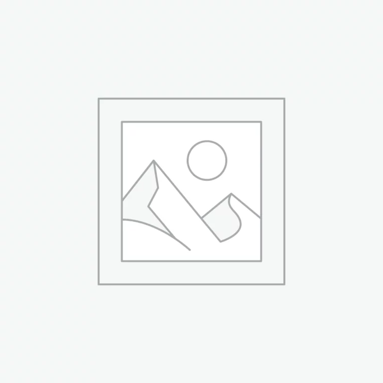 Ford Transit lang blau